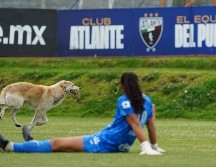 El can entró al terreno de juego durante los primeros minutos del segundo tiempo y recorrió la cancha del CAR del Atlante. IMAGO7