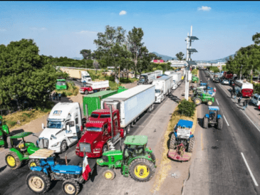 Los productores del campo lamentaron que la industria harinera esté contratando solamente el 25% de la producción total de maíz. EL INFORMADOR / ARCHIVO