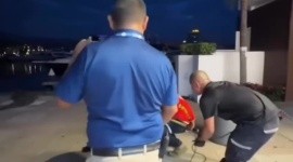 Capturan cocodrilos en Vallarta; despliegan operativo
