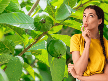 A pesar de las estrictas advertencias sanitarias, no todas las frutas que tocan el suelo deben terminar irremediablemente en la basura. ESPECIAL / CANVA