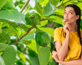 A pesar de las estrictas advertencias sanitarias, no todas las frutas que tocan el suelo deben terminar irremediablemente en la basura. ESPECIAL / CANVA
