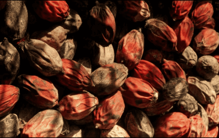 La nuez de betel es una de las drogas de origen vegetal más populares de Asia y el Pacífico Sur. Pexels