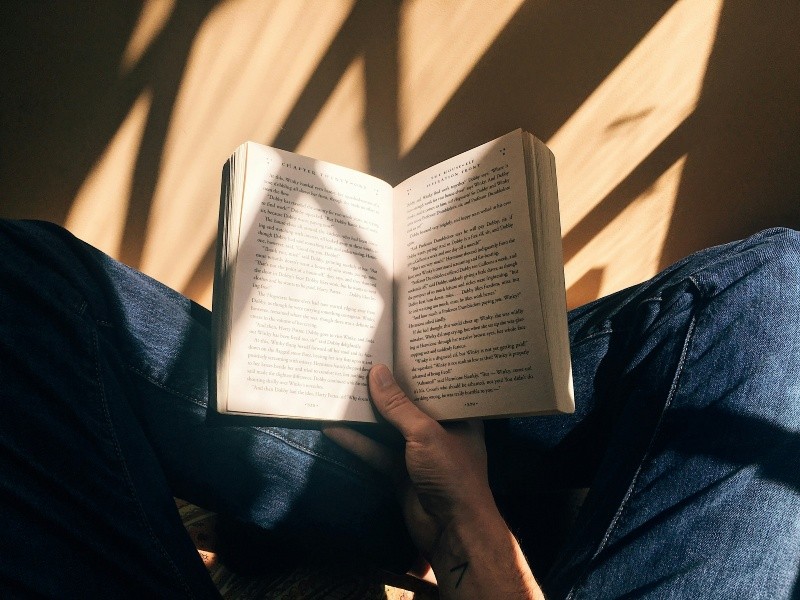 &nbsp;La Secretaría de Cultura destinará 50 millones de pesos de su presupuesto de 2026 para renovar los acervos de la Red Nacional de Bibliotecas Públicas. UNSPLASH