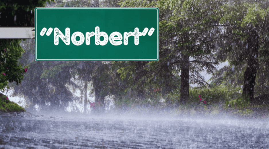 La tormenta tropical “Norbert”, es el ciclón número 14 con nombre de la actual temporada en el océano Pacífico. ESPECIAL / CANVA