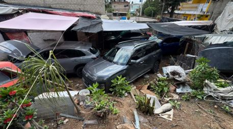 Uniformados recibieron varios reportes ciudadanos anónimos sobre un terreno en dicha colonia, en el que aparentemente varias personas ingresaban y salían con vehículos frecuentemente y que al parecer eran robados. CORTESIA