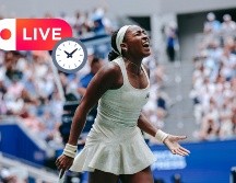 Te diremos dónde y a qué hora ver EN VIVO las Semifinales del torneo de tenis en Nueva York este 10 de septiembre. EFE / ARCHIVO