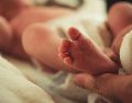 El niño nació el 12 de agosto con síndrome de corazón izquierdo hipoplásico, una afección potencialmente mortal que impide el flujo normal de sangre hacia el órgano. Unsplash
