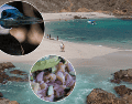 La zona también ofrece otras bahías y espacios naturales que pueden explorarse durante varios días. INSTAGRAM / @costalegreoficial