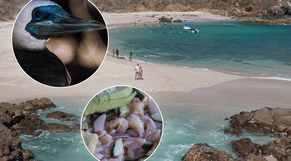 La zona también ofrece otras bahías y espacios naturales que pueden explorarse durante varios días. INSTAGRAM / @costalegreoficial