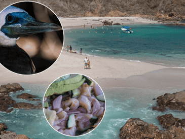 La zona también ofrece otras bahías y espacios naturales que pueden explorarse durante varios días. INSTAGRAM / @costalegreoficial