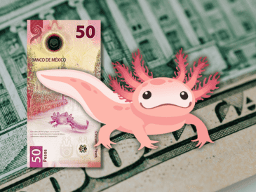 A pesar de las presiones externas, el peso mexicano ha demostrado una notable resiliencia, consolidándose en el nivel de las 16 unidades. ESPECIAL / CANVA