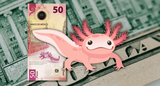 Dólar HOY: Así le fue al Superpeso en el cierre de la segunda semana de septiembre