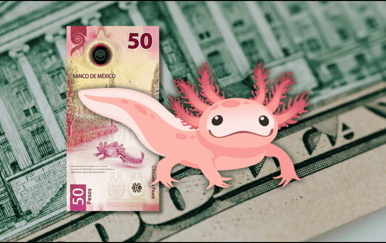 A pesar de las presiones externas, el peso mexicano ha demostrado una notable resiliencia, consolidándose en el nivel de las 16 unidades. ESPECIAL / CANVA