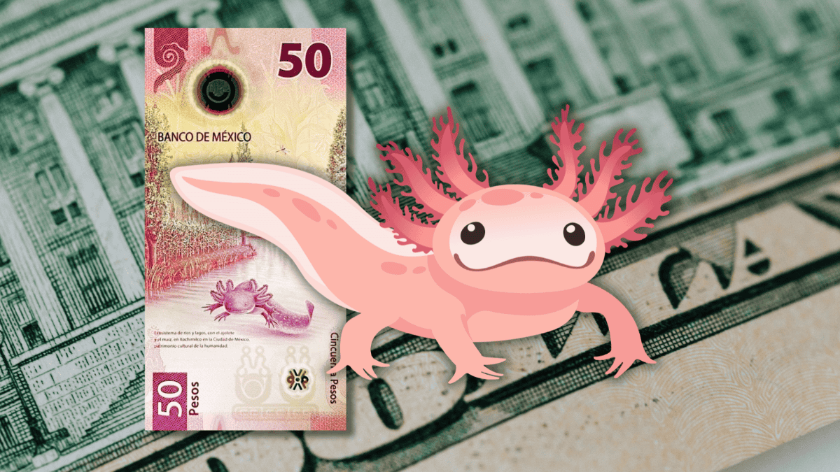 Así le fue al Superpeso frente al dólar en el cierre semanal