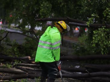 Protección civil y Bomberos continúan realizando recorridos por calles de la ciudad para descartar mayores daños. ESPECIAL / Bomberos de Guadalajara