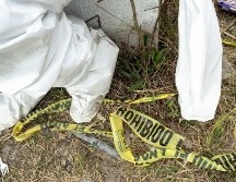 Culiacán vive una ola de violencia que alcanzó a colectivos de búsqueda de desaparecidos. AFP/ARCHIVO
