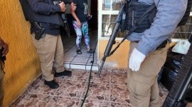 Fiscalía de Jalisco rescata a 15 animales maltratados en una vivienda en Guadalajara