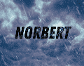 Debido a su enorme distancia de las costas nacionales y a su trayectoria proyectada mar adentro, "Norbert" no representa absolutamente ningún peligro para el territorio mexicano. ESPECIAL / CANVA