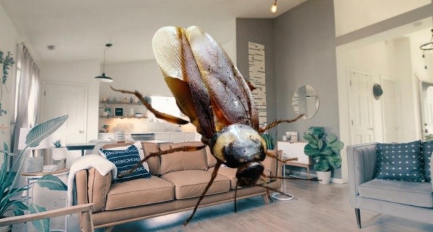 Por qué salen cucarachas en mi casa? El significado oculto de estos insectos en el hogar