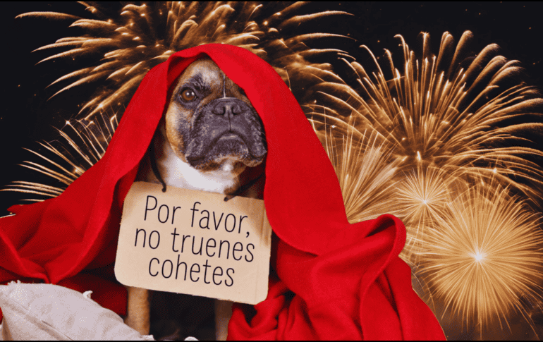 La sobrecarga sensorial aguda puede causar daños auditivos permanentes, como tinnitus, y desarrollar fobias crónicas que afectarán al animal de por vida. ESPECIAL / CANVA