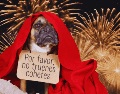 La sobrecarga sensorial aguda puede causar daños auditivos permanentes, como tinnitus, y desarrollar fobias crónicas que afectarán al animal de por vida. ESPECIAL / CANVA