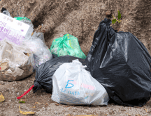En Guadalajara, las sanciones por tirar basura en la vía pública van desde multas económicas o bien arresto administrativo. EL INFORMADOR/ARCHIVO