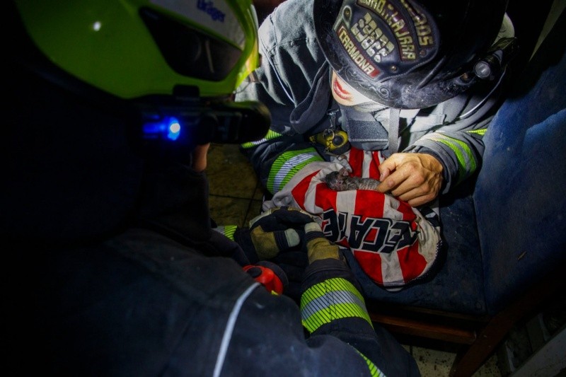 CORTESÍA/ Protección Civil y Bomberos de Guadalajara.