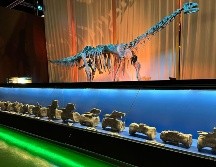 Los resultados de la investigación se han publicado en Journal of Vertebrate Paleontology, una revista científica internacional especializada en vertebrados fósiles.  EFE/ Fundación Dinópolis