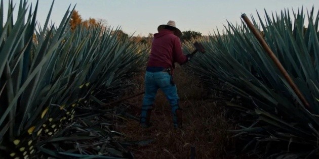 La recomendación de hoy en la cartelera de cine es “Dos Estaciones”