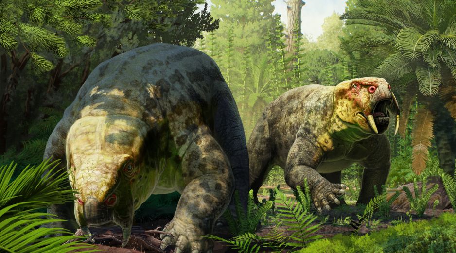 La nueva especie ha sido descrita por un equipo encabezado por la Universidad de Bristol. EFE / G. Ugueto /  Universidad de Bristol
