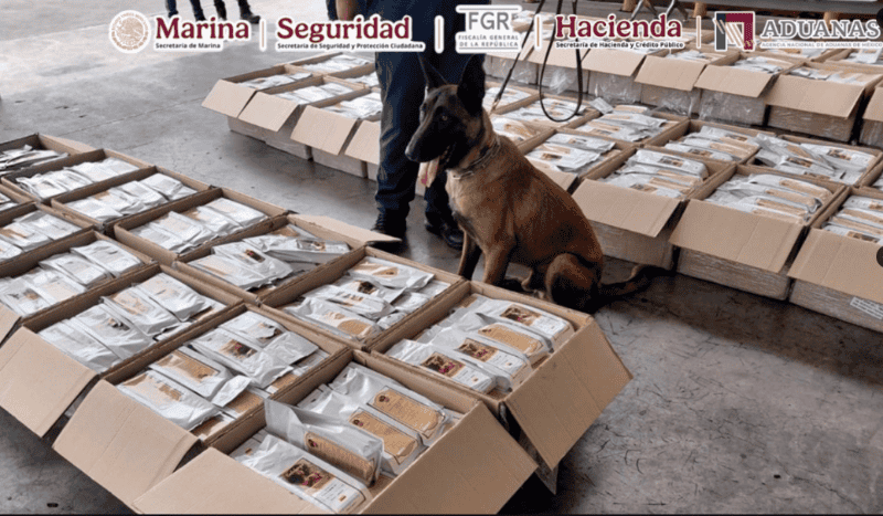 El cargamento bajo resguardo del binomio canino de la Aduana del AICM. X / @GabSeguridadMX&nbsp;