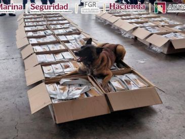 El cargamento quedó bajo resguardo de la Aduana del AICM y se efectuaron las diligencias para determinar la naturaleza de la sustancia. X / @GabSeguridadMX