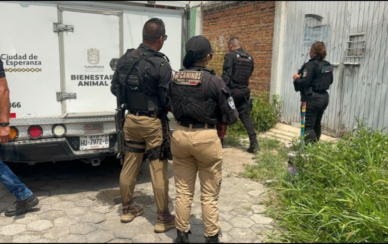 Este caso no es un hecho aislado, sino parte de una tendencia al alza en el estado de Jalisco. X / @GobTlaquepaque