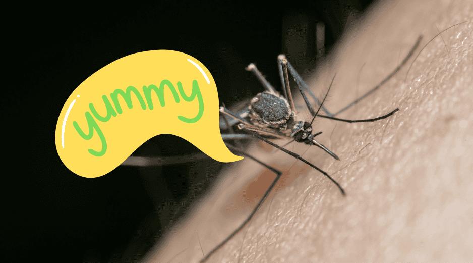 Los mosquitos no dependen de una sola señal para encontrar a una persona. ESPECIAL/Canva