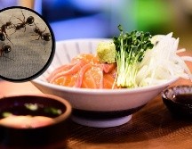 Se comprobó que el restaurante sirvió entre abril de 2021 y enero de 2025 hormigas secas importadas de Estados Unidos y Tailandia. ESPECIAL/PIXABAY