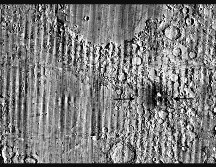El hallazgo se produjo durante una revisión rutinaria de datos del Lunar Reconnaissance Orbite. EFE/ Nasa Goddard/Intuitive Machines/robert Wagner