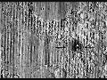 El hallazgo se produjo durante una revisión rutinaria de datos del Lunar Reconnaissance Orbite. EFE/ Nasa Goddard/Intuitive Machines/robert Wagner