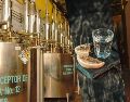 La directora general de la Cámara Nacional de la Industria Tequilera expuso que los destilados viven una etapa complicada a escala global. NTX / ARCHIVO / UNSPLASH / H. Reyes