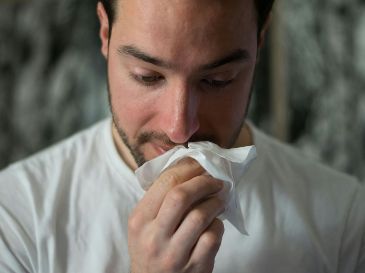 ¿Verdad o mito? Esto dice la ciencia sobre el uso de la miel para prevenir alergias. ESPECIAL / UNSPLASH Brittany Colette