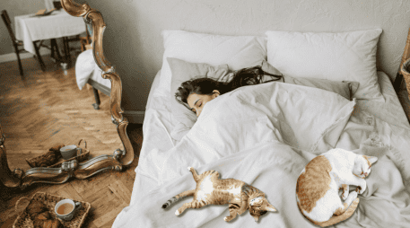 Aunque cada gato tiene una personalidad diferente, esta conducta suele estar asociada a emociones positivas y a una relación de confianza consolidada. CANVA