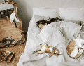 Aunque cada gato tiene una personalidad diferente, esta conducta suele estar asociada a emociones positivas y a una relación de confianza consolidada. CANVA
