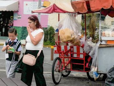 El consumo de alimentos con exceso de azúcares, grasas y sodio, se asocia con riesgos para la salud infantil. Ante la venta de estos productos en los alrededores de las escuelas, los Ayuntamientos deben reforzar la vigilancia y ordenar el comercio. EL INFORMADOR/A. Navarro