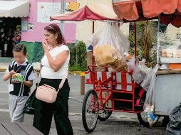 El consumo de alimentos con exceso de azúcares, grasas y sodio, se asocia con riesgos para la salud infantil. Ante la venta de estos productos en los alrededores de las escuelas, los Ayuntamientos deben reforzar la vigilancia y ordenar el comercio. EL INFORMADOR/A. Navarro
