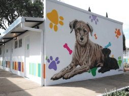Esta infraestructura de primer nivel asegura que cada perro o gato rescatado reciba un tratamiento personalizado, preparándolos física y emocionalmente antes de ser integrados a una nueva familia. Gobierno de México