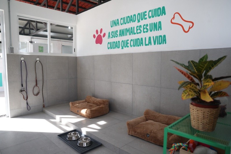 &nbsp;Gobierno de México