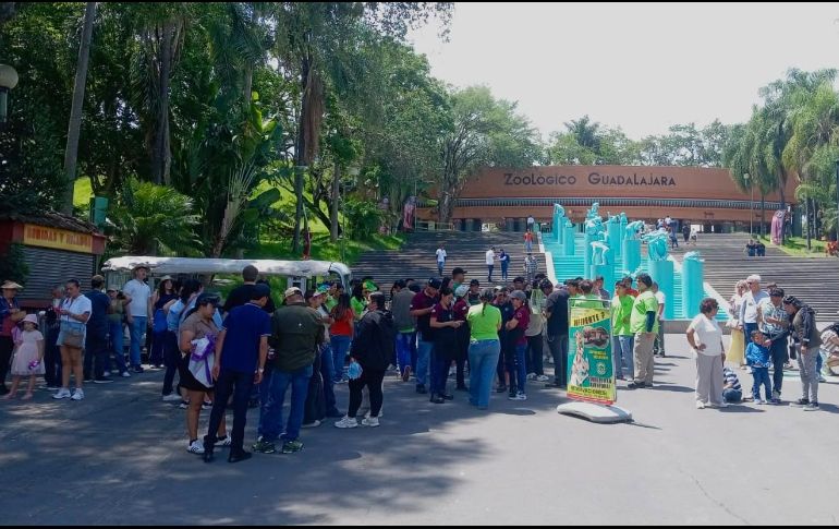 Mil 744 visitantes y 288 colaboradores participaron en el Simulacro Nacional en el Zoológico de Guadalajara. A. NAVARRO