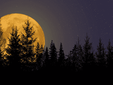 La sucesión de noches con brillo prolongado tras el atardecer otorgaba a los agricultores horas extra de iluminación natural. ESPECIAL/Canva