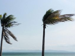 Antes de alcanzar la categoría de huracán, los ciclones tropicales pasan por distintas etapas dentro de su desarrollo.  UNSPLASH