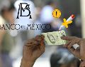 Estas son las recomendaciones de Banxico para evitar falsos positivos y dañar billetes en la revisión del dinero. EL INFORMADOR / ARCHIVO