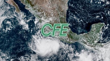 La CFE ha dispuesto en puntos estratégicos a miles de electricistas, grúas, vehículos ligeros, un vehículo de comunicaciones, plantas de emergencia y un helicóptero. AP / NOAA